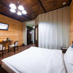 Гостиница Купеческий Дом Номер Делюкс разные типы кроватей фото 15
