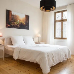 Отель Schoenhouse Apartments Германия, Берлин - отзывы, цены и фото номеров - забронировать отель Schoenhouse Apartments онлайн комната для гостей фото 4