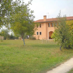 Отель Agriturismo Campi di Grano Ронкаде фото 7