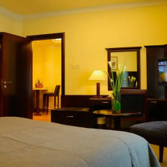 Sharjah Premiere Hotel & Resort 3* Стандартный номер с различными типами кроватей фото 4