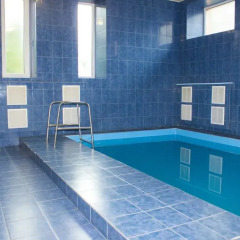 Гостиница Skorpion Minihotel в Туле 2 отзыва об отеле, цены и фото номеров - забронировать гостиницу Skorpion Minihotel онлайн Тула бассейн