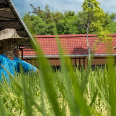 Отель Naina Resort & Spa 4* Стандартный номер с двуспальной кроватью фото 9