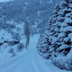 Отель Ani Resort Армения, Анкаван - отзывы, цены и фото номеров - забронировать отель Ani Resort онлайн