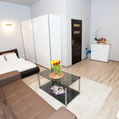 Апартаменты Studio Apartament Centrum Katowice Апартаменты с различными типами кроватей фото 9