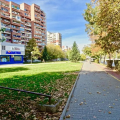 Family Hotel Dalis спортивное сооружение