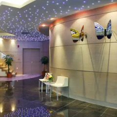 Отель Amalia Athens Афины развлечения