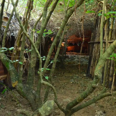 Отель Great Huts 3* Бунгало с различными типами кроватей фото 31