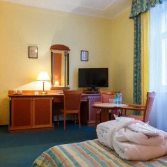 Villa Savoy Spa Park Hotel 4* Стандартный номер с различными типами кроватей фото 6