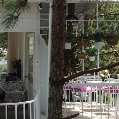 Отель Pine Hill Homestay Dalat питание