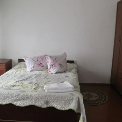 Отель Otel Issyk-Kul-Karakol Кыргызстан, Каракол - отзывы, цены и фото номеров - забронировать отель Otel Issyk-Kul-Karakol онлайн комната для гостей фото 2