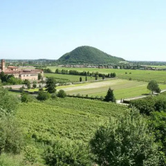 Отель Terme Orvieto Италия, Абано-Терме - отзывы, цены и фото номеров - забронировать отель Terme Orvieto онлайн приотельная территория фото 2