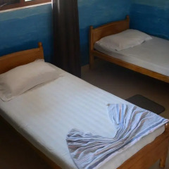 Отель Olive Tree Guest House комната для гостей фото 2