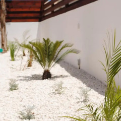 Отель Narcissos Villa 2 Кипр, Протарас - отзывы, цены и фото номеров - забронировать отель Narcissos Villa 2 онлайн фото 2