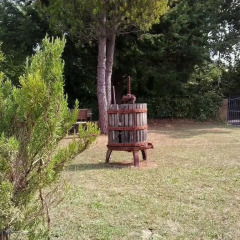 Отель Agriturismo Villa Ti AMo Сан-Джинезио фото 2