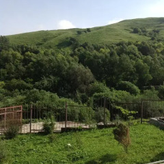 Гостевой Дом Олимпия Стандартный семейный номер с двуспальной кроватью фото 11