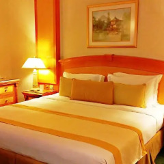 Carlton Palace Hotel 5* Номер Делюкс с различными типами кроватей фото 2