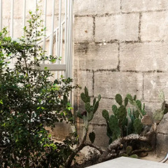 Отель Cittadella boutique living Виктория фото 2