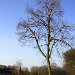 Отель B&B Landing Point