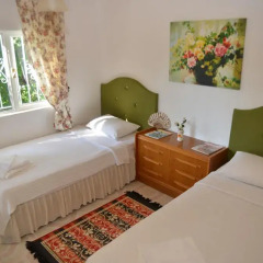 Отель Butterfly Guest House Стандартный номер фото 2