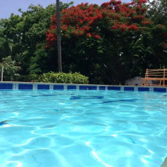 Отель Casa de las Flores Tropical Lodge Колумбия, Сан-Андрес - отзывы, цены и фото номеров - забронировать отель Casa de las Flores Tropical Lodge онлайн бассейн