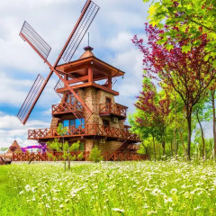 Отель The Wind Mills Hydropark фото 2