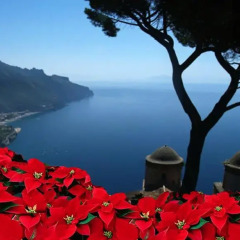 Отель La Casetta di Marmorata Ravello Accommodation Равелло приотельная территория фото 2