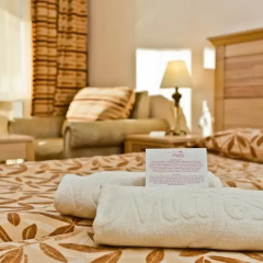 Отель DIT Majestic Beach Resort 4* Стандартный номер с 2 отдельными кроватями фото 3