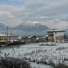 Отель B&B Colli's Dolomites Италия, Беллуно - отзывы, цены и фото номеров - забронировать отель B&B Colli's Dolomites онлайн городской автобус