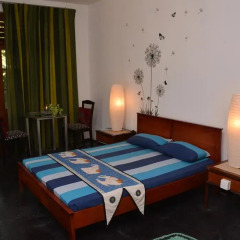 Отель Raj Mahal Inn 3* Стандартный номер с различными типами кроватей фото 13
