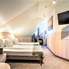 Wellton Centrum Hotel & Spa 4* Стандартный номер с различными типами кроватей фото 4