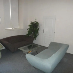 Апартаменты Wenceslas square TOP apartment Прага комната для гостей фото 3