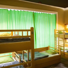 Treestyle Hostel Апартаменты фото 4