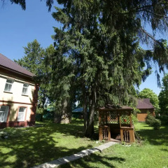 Гостиница Иерусалимская 2* Стандартный номер с различными типами кроватей (общая ванная комната) фото 7