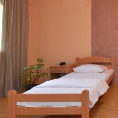 Отель Guest House Vila Bor Стандартный номер фото 8