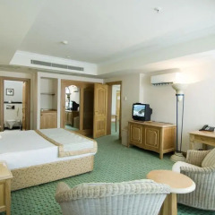 Simena Hotel 5* Стандартный номер с различными типами кроватей фото 5