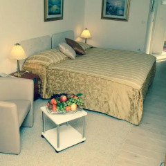 Hotel Vila Tina 3* Номер Делюкс с различными типами кроватей фото 12