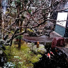 Отель Beppu Showaen Беппу фото 6