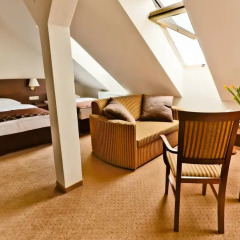 Hotel Korel 3* Номер Комфорт с различными типами кроватей фото 3