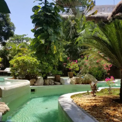 La Tortuga Hotel And Spa Плая-дель-Кармен бассейн фото 3