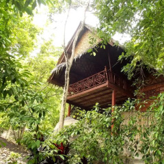 Отель Koh Tao Royal Resort 3* Бунгало Делюкс с различными типами кроватей фото 4
