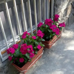 Отель Best Rest Guest House балкон