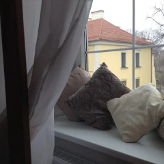 Center Stay Hostel Кровать в женском общем номере с двухъярусной кроватью фото 5