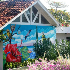 Отель Hosteria Mar y Sol Колумбия, Сан-Андрес - отзывы, цены и фото номеров - забронировать отель Hosteria Mar y Sol онлайн развлечения