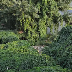 Отель Mayisyan Kamurdj Hotel Армения, Иджеван - отзывы, цены и фото номеров - забронировать отель Mayisyan Kamurdj Hotel онлайн приотельная территория фото 2