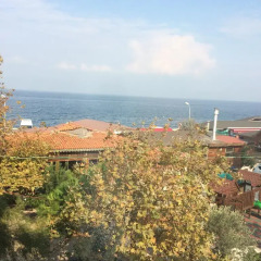 Tarabyali Otel Турция, Армутлу - отзывы, цены и фото номеров - забронировать отель Tarabyali Otel онлайн пляж