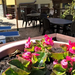 Отель Bed & Breakfast Alda Anselmi Марчиана бассейн