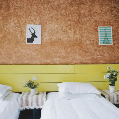 Chengdu Dreams Travel Youth Hostel Стандартный номер с различными типами кроватей фото 3