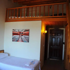 Teos Ormanci Tatil Koyu Стандартный номер с различными типами кроватей фото 2