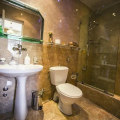 David Hotel ванная
