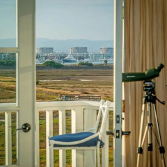 Отель Inn At Playa Del Rey 4* Стандартный номер фото 5
